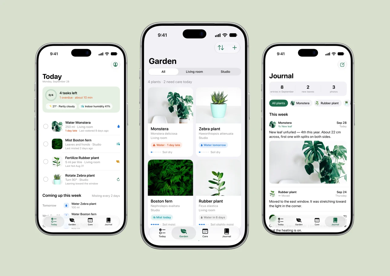 Three Canopy app screens in iPhone frames